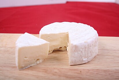 4 em 1, queijo caseiro super gostoso