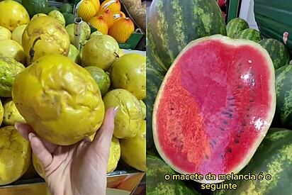 Escolha as melhores frutas da fruteira